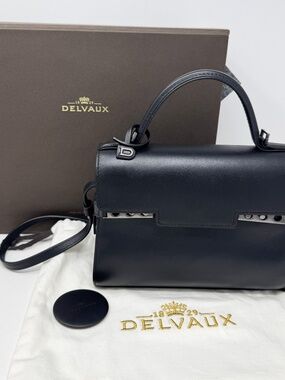 Delvaux Tempete PM bag